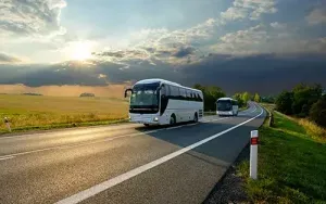 2 witte bussen op een rustige weg