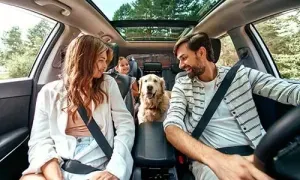 familie met golden retriever in auto