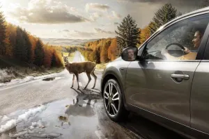 Zijn all-seasonbanden de juiste keuze voor jouw auto?